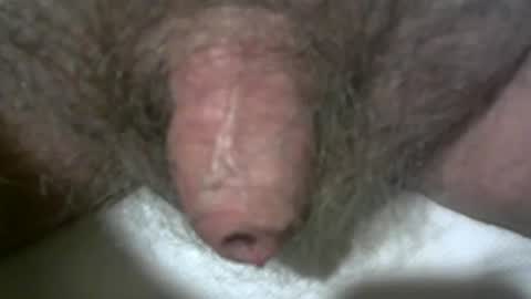 peterpeteropoulos online show from February 7, 2025, 9:48 pm