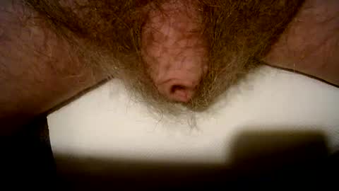 peterpeteropoulos online show from February 14, 2025, 9:10 pm