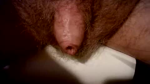 peterpeteropoulos online show from February 20, 2025, 7:41 pm