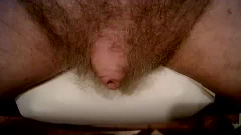 Snapshot of peterpeteropoulos chatting on February 21, 2026, 5:03 pm peterpeteropoulos online show from February 21, 2026, 5:03 pm