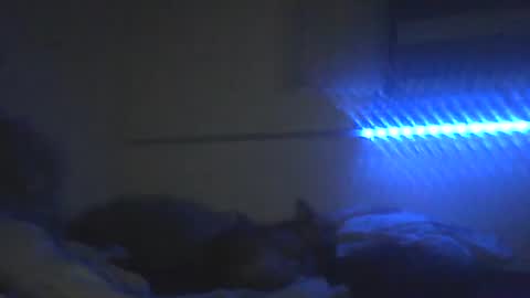 Snapshot of peterscherer620 chatting on February 10, 2026, 3:10 am Pitsches online show from February 10, 2026, 3:10 am