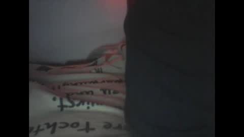 Snapshot of peterscherer620 chatting on February 15, 2026, 3:14 am Pitsches online show from February 15, 2026, 3:14 am