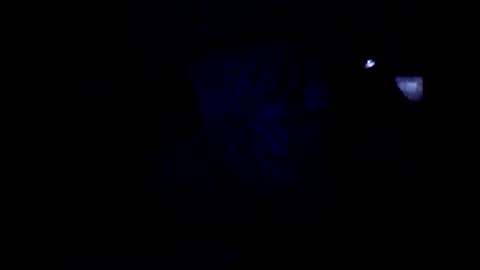 peterson1978 online show from June 4, 2026, 2:06 am