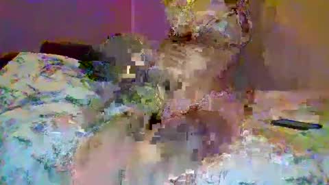 petite_baby23 online show from May 23, 2026, 10:36 pm