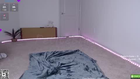 PiperAvery online show from February 5, 2025, 5:41 am