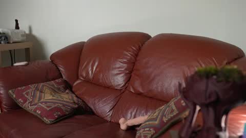 Snapshot of petitecut chatting on March 11, 2025, 5:27 am caracal online show from March 11, 2025, 5:27 am