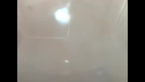 petrol63102 online show from March 4, 2026, 9:48 am