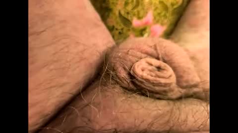 petrol63102 online show from April 8, 2026, 7:08 am