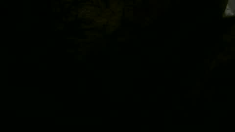 Snapshot of pglsmm chatting on January 19, 2025, 1:32 am pgls online show from January 19, 2025, 1:32 am