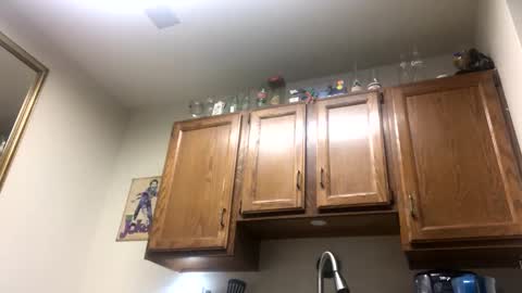 Phil online show from February 2, 2025, 2:38 am