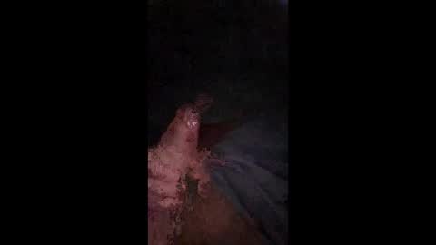 philllllll508346 online show from December 21, 2025, 5:47 am