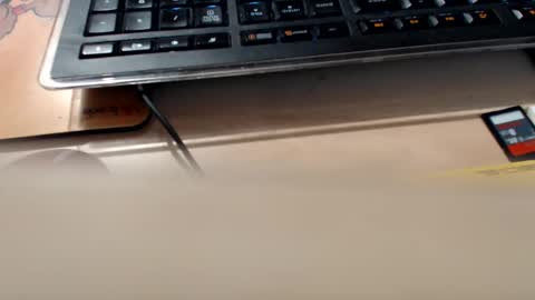 pier49x online show from September 11, 2025, 1:17 am