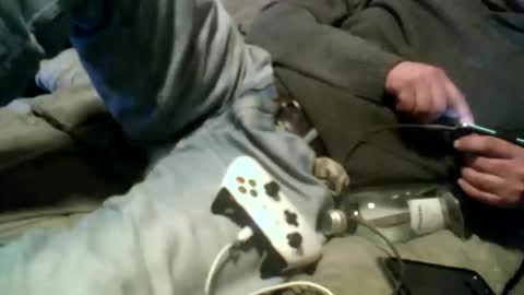 Pierke online show from January 9, 2026, 12:57 am