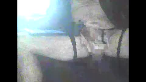 Snapshot of pigbear4trans chatting on January 3, 2025, 4:48 pm pigbear4trans online show from January 3, 2025, 4:48 pm