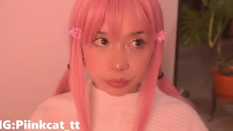 Snapshot of piinkcat chatting on April 11, 2026, 5:45 am Emi online show from April 11, 2026, 5:45 am