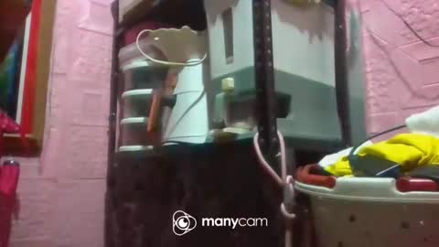 PinayThali08 online show from November 21, 2025, 3:11 pm