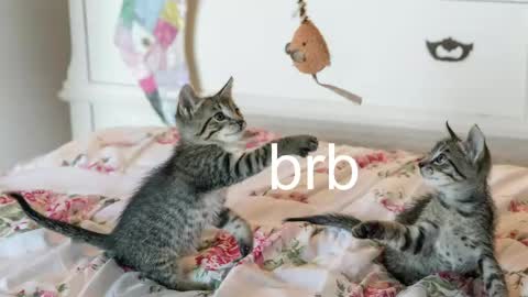 Kitty online show from May 27, 2026, 3:03 am
