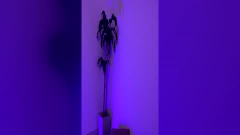 Snapshot of pink_quarz chatting on June 16, 2026, 10:45 pm KELLY online show from June 16, 2026, 10:45 pm
