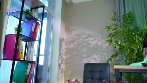 Snapshot of pinkheart_ chatting on December 20, 2024, 11:54 am Alice   online show from December 20, 2024, 11:54 am