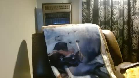 pirate334 online show from March 24, 2026, 3:55 am