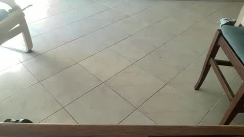 Snapshot of pisellone_xxl chatting on September 19, 2025, 1:01 pm pisellone_xxl online show from September 19, 2025, 1:01 pm