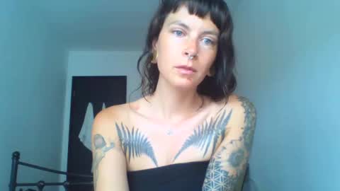 pixiecatfairy online show from September 17, 2025, 9:44 am