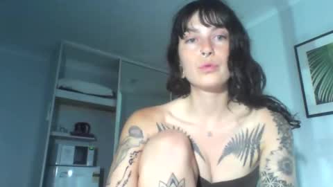 pixiecatfairy online show from December 4, 2025, 12:03 pm