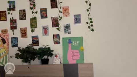 Daryl  online show from January 18, 2026, 3:38 pm