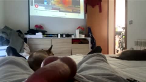 pjpp566883 online show from December 1, 2025, 12:43 pm