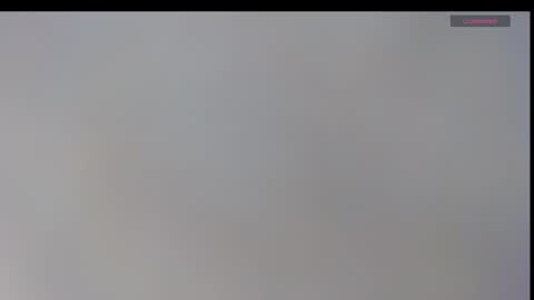 playboypetit online show from January 8, 2025, 12:38 am