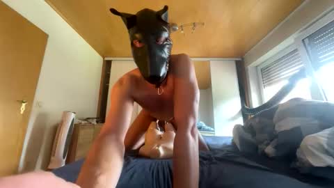 playdog123 online show from September 21, 2025, 11:56 am