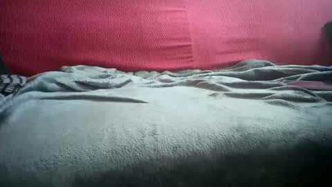 Leonardo online show from March 1, 2026, 8:49 am