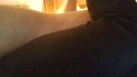 Snapshot of playfulpair7982 chatting on November 5, 2025, 5:35 pm Nichole Vixen Jacob online show from November 5, 2025, 5:35 pm