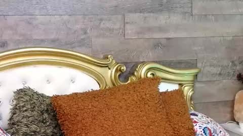 PlayfulSamy online show from January 13, 2025, 11:30 am