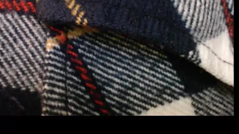 Snapshot of pllkgh45ymn chatting on September 10, 2025, 4:40 pm pllkgh45ymn online show from September 10, 2025, 4:40 pm