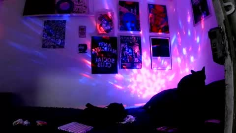 Snapshot of plutonbluemoon_999 chatting on June 30, 2026, 11:50 pm online show from June 30, 2026, 11:50 pm