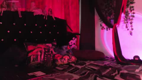  Luna  online show from February 15, 2026, 12:47 pm