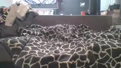 pokerfffface79 online show from March 27, 2026, 6:41 am