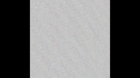 Polly online show from October 16, 2025, 7:53 am