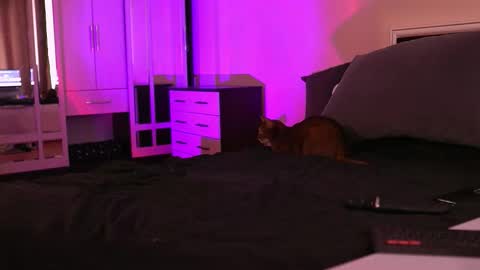 Snapshot of polusladkoye chatting on September 17, 2025, 1:02 pm Megan.online online show from September 17, 2025, 1:02 pm