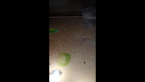 Snapshot of potsymcstoner chatting on September 12, 2025, 5:46 pm potsymcstoner online show from September 12, 2025, 5:46 pm