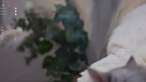 Elina online show from March 11, 2025, 7:03 pm