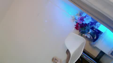 Snapshot of prettybadbitch28 chatting on June 9, 2026, 1:23 pm prettybadbitch28 online show from June 9, 2026, 1:23 pm
