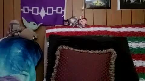 prettysolidd7 online show from January 4, 2025, 6:09 am