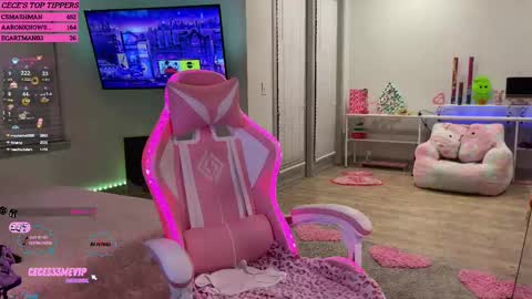 Snapshot of princess_cece chatting on February 12, 2025, 4:01 am Cece  NEXT LIVESTREAM -- DEC. 4th  7 PM CST online show from February 12, 2025, 4:01 am