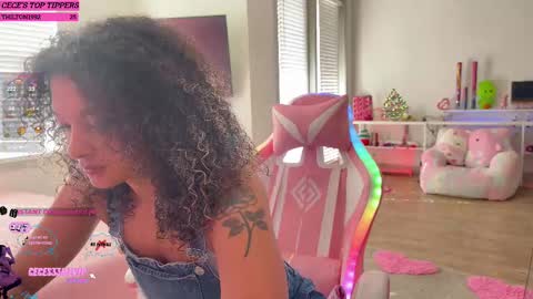 Snapshot of princess_cece chatting on February 13, 2025, 4:39 pm Cece  NEXT LIVESTREAM -- DEC. 4th  7 PM CST online show from February 13, 2025, 4:39 pm