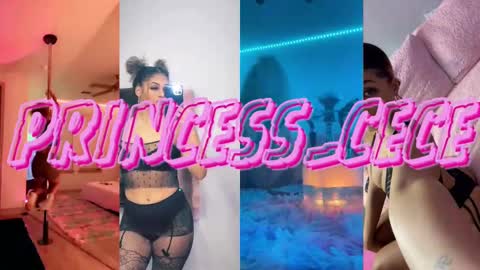 Snapshot of princess_cece chatting on February 15, 2025, 3:42 am Cece  NEXT LIVESTREAM -- DEC. 4th  7 PM CST online show from February 15, 2025, 3:42 am