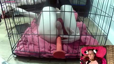 PrIncessJulia0X online show from February 3, 2026, 2:10 am