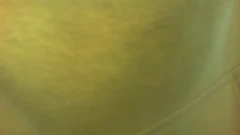 Snapshot of princetonbar55 chatting on February 7, 2025, 7:06 pm princetonbar55 online show from February 7, 2025, 7:06 pm