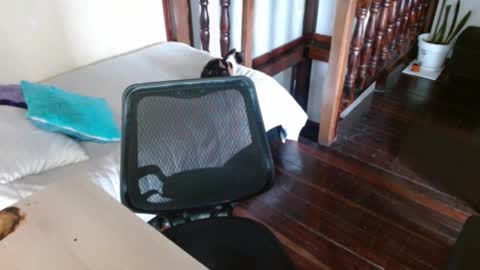 Snapshot of prismm_ chatting on September 14, 2025, 1:21 pm prismm_ online show from September 14, 2025, 1:21 pm